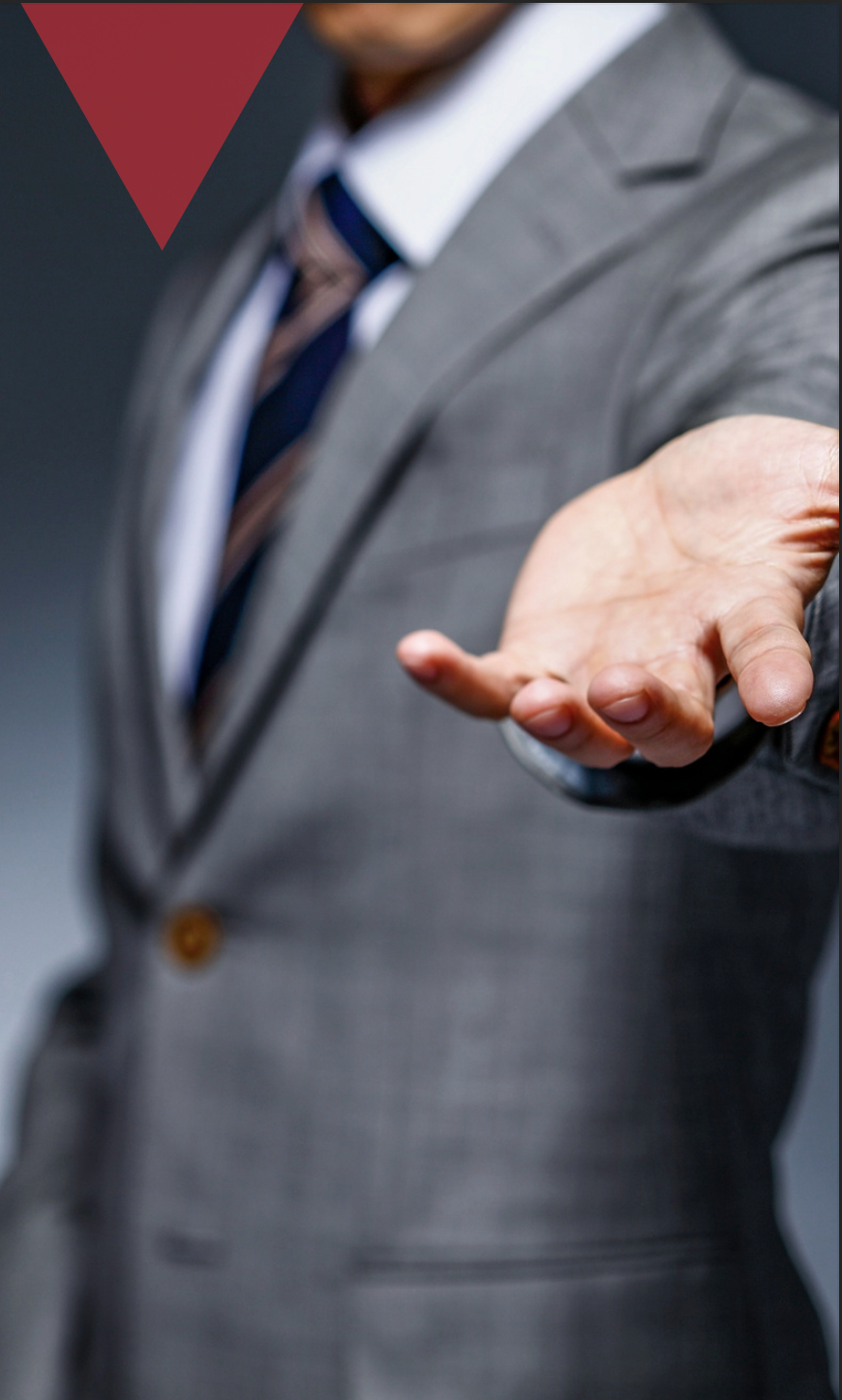 Visión y compromiso